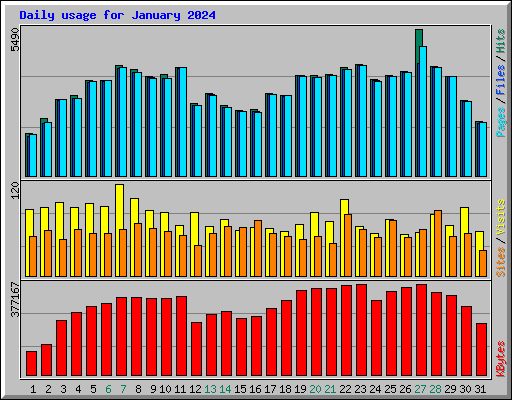 Daily usage for January 2024