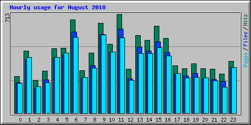 Hourly usage for August 2018