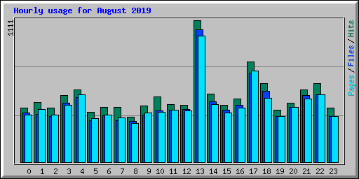 Hourly usage for August 2019