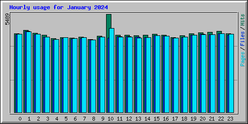 Hourly usage for January 2024