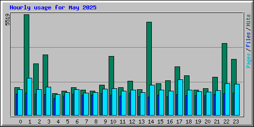 Hourly usage for May 2025