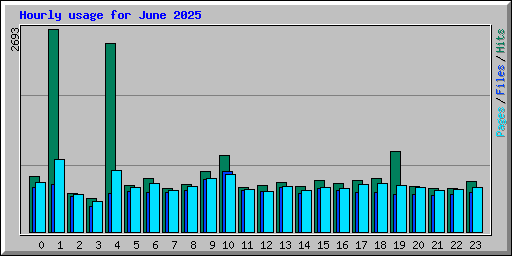 Hourly usage for June 2025