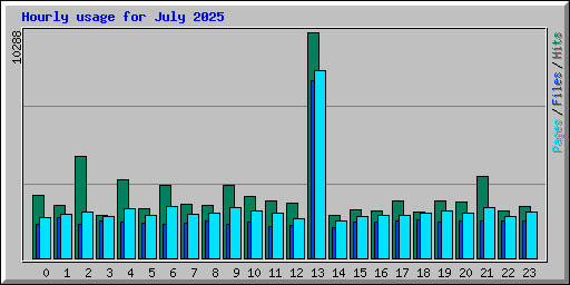 Hourly usage for July 2025